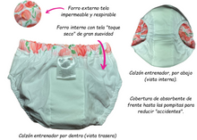 Cargar imagen en el visor de la galería, 5-Pack. Kit de calzones entrenadores ecológicos impermeables